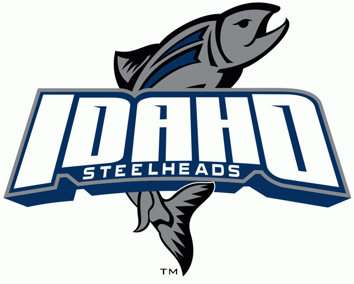 idaho steelheads iron ons